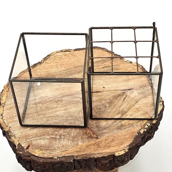 Hydro Terrarium Cactus Succulents - Small  10¹² Terra Made in Japan - Picture 2 of 3